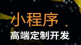 开发小程序、网站、APP、系统、服务好价格低